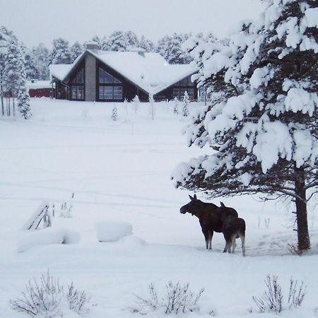 Arrenjarka Mountain Lodge Kvikkjokk Exteriér fotografie