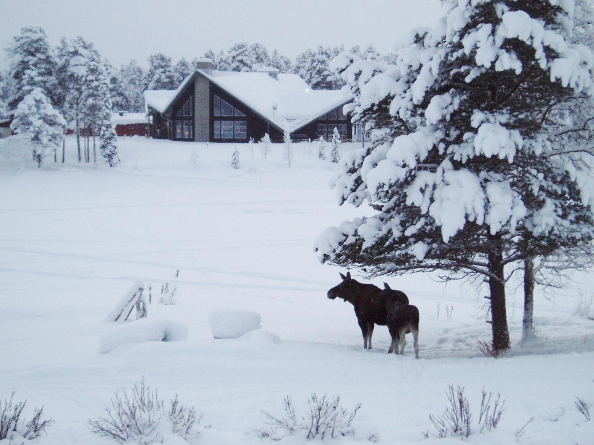 Arrenjarka Mountain Lodge Kvikkjokk Exteriér fotografie